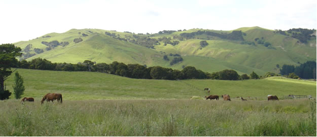 Landscape shot of the farm